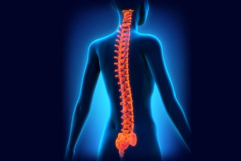 Spine problems lumber pain cervical pain